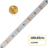 X-LIGHT LED traka SMD2216 180 LED/m, 12W/m 24V topla bijela IP-20 3000K, 1m