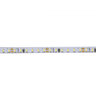 X-LIGHT LED traka SMD1808 240 LED/m, 10W/m 24V hladna bijela IP-20 6000K, 1m
