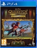 Harry Potter Quidditch Champions Deluxe Edition PS4