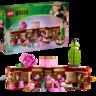 LEGO® Wicked Glindina i Elphabina soba