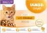 IAMS Delights Kitten multipack 1020g (12x85g), piletina