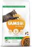 IAMS Adult Cat 10kg, janjetina