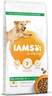 IAMS Dog Adult Large Breed 12kg, piletina