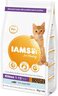 IAMS Kitten 2kg, oceanska riba