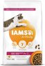 IAMS Cat Senior 10kg, piletina