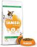 IAMS Dog Adult Small & Medium Breed 12kg, piletina