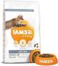 IAMS Cat Adult Indoor 10kg, piletina