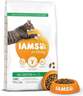 IAMS Cat Adult 10kg, riba