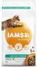 IAMS Cat Adult/Senior Weight Control/Sterilized 2kg, piletina