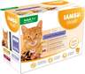 IAMS Delights Adult multipack 1020g (12x85g), tri okusa