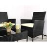 Vrtna garnitura od ratana - sofa, 2 fotelje, stol - crna