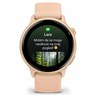 Garmin Vivoactive 6 Pink Dawn / P. Dawn Metallic, 010-02985-03, pametni sat