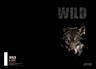 Bilježnica, Target Animal Wild, A4, geometrija, 54 lista, meki uvez