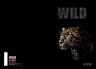 Bilježnica, Target Animal Wild, A4, geometrija, 54 lista, meki uvez
