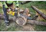 DEWALT akumulatorska lančana pila DCMCS575N-XJ 54V FLEXVOLT 50CM, SOLO alat