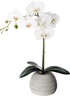 Atmosphera umjetno cvijeće u tegli - orhideja, 53 cm, bijela