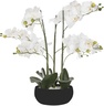 Atmosphera umjetno cvijeće u tegli - orhideja, 65 cm, crna