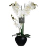 Atmosphera umjetno cvijeće u tegli - orhideja, 53 cm, crna