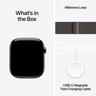 Apple Watch Series 11 GPS + Cellular 46mm Slate Titanium Case with Slate Milanese Loop S/M, pametni sat