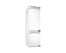 SAMSUNG hladnjak BRB80F26ADF0EO