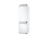 SAMSUNG hladnjak BRB80F26ADF0EO