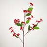 Grana crvene bobice s lišćem, 109cm