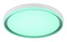 Stropna svjetiljka JANICE (Ø50 cm), RGBW LED, bijela