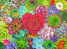 Ravensburger 500 kom puzzle Succulent Love