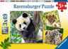 Ravensburger 3x49 kom puzzle Panda, Tiger and Lion