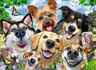 Ravensburger 500 kom puzzle Selfie Dogs Delight