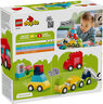 LEGO® DUPLO® Kreativna vozila 10474