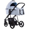 Dječja kolica Bebetto Flavio PRO 08/CZA 2u1