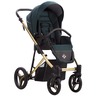 Dječja kolica Bebetto Flavio Premium Class Gold 01 3u1 B