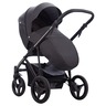 Dječja kolica Bebetto Pascal 01/CZA 2u1