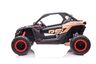 Buggy Can-am RS crni - auto na akumulator