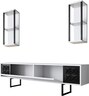 Komoda za TV, Black Line - White, Black