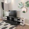 TV jedinica, Zebra - Black, White