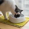 Petkit F1 FRESH Smart Bowl - pametna zdjelica za kućne ljubimce