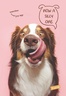 Set bilježnica Woof, A4 kvadratići, 42 lista, meki uvez, 10 KOM