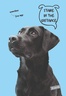 Set bilježnica Woof, A4 kvadratići, 42 lista, meki uvez, 10 KOM