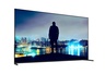 SONY 65" BRAVIA 8 OLED TV K65XR8M25BP.CEI, 4K UHD, Google Smart TV, HDR