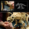 LEGO® Jurassic World Fosili dinosaura: Triceratops 77985