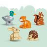 LEGO® DUPLO® Šuma otkrivanja s divljim životinjama 10480