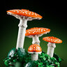 LEGO® Botanicals Šumske gljive 11505