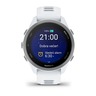 Garmin Forerunner 170 Whitestone Cloud Blue, 010-03920-01, pametni sat