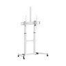SBOX podni stalak FS-3610, 60-100", do 100kg, 1000x600, bijeli