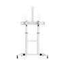 SBOX podni stalak FS-3610, 60-100", do 100kg, 1000x600, bijeli