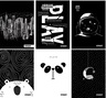 Set bilježnica Street Black&White, A4 geometrija, 52 listova, meki uvez, 10 KOM