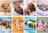 Set bilježnica Pigna Dolci Cuccioli, A4 linije, 52 listova, meki uvez, 10 KOM