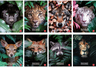 Set bilježnica Pigna Animal, A4 linije, 52 listova, meki uvez, 10 KOM